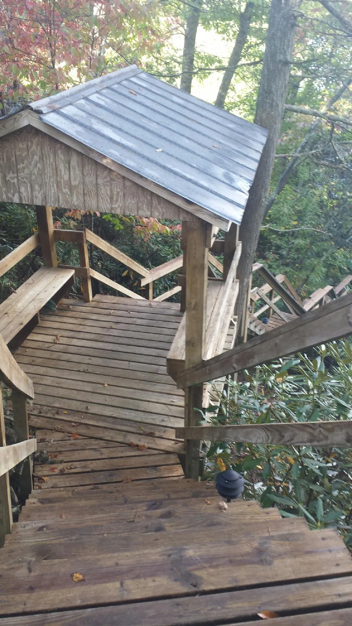 Metal roofed shelter over wooden steps on a wooded walkway — Skylight Repair & Installation work by our crew in Rienzi